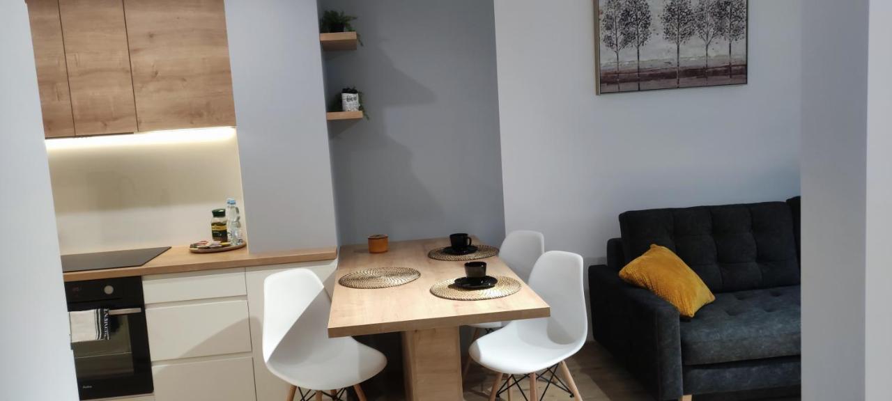 Apartament Przy Fabrycznym 우치 외부 사진