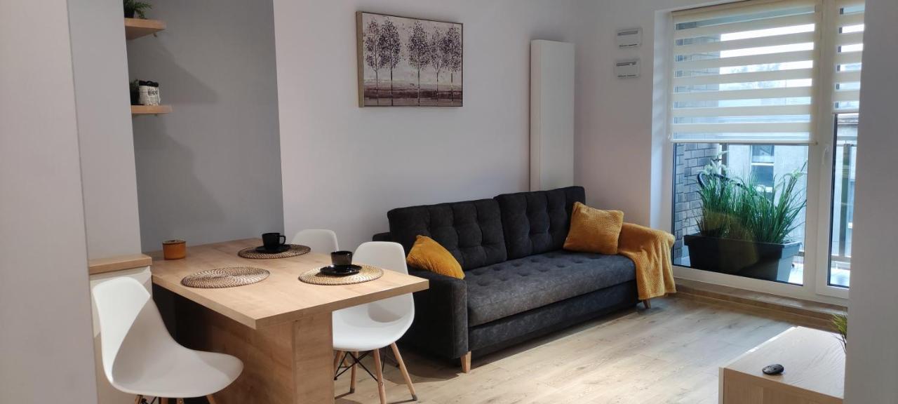 Apartament Przy Fabrycznym 우치 외부 사진
