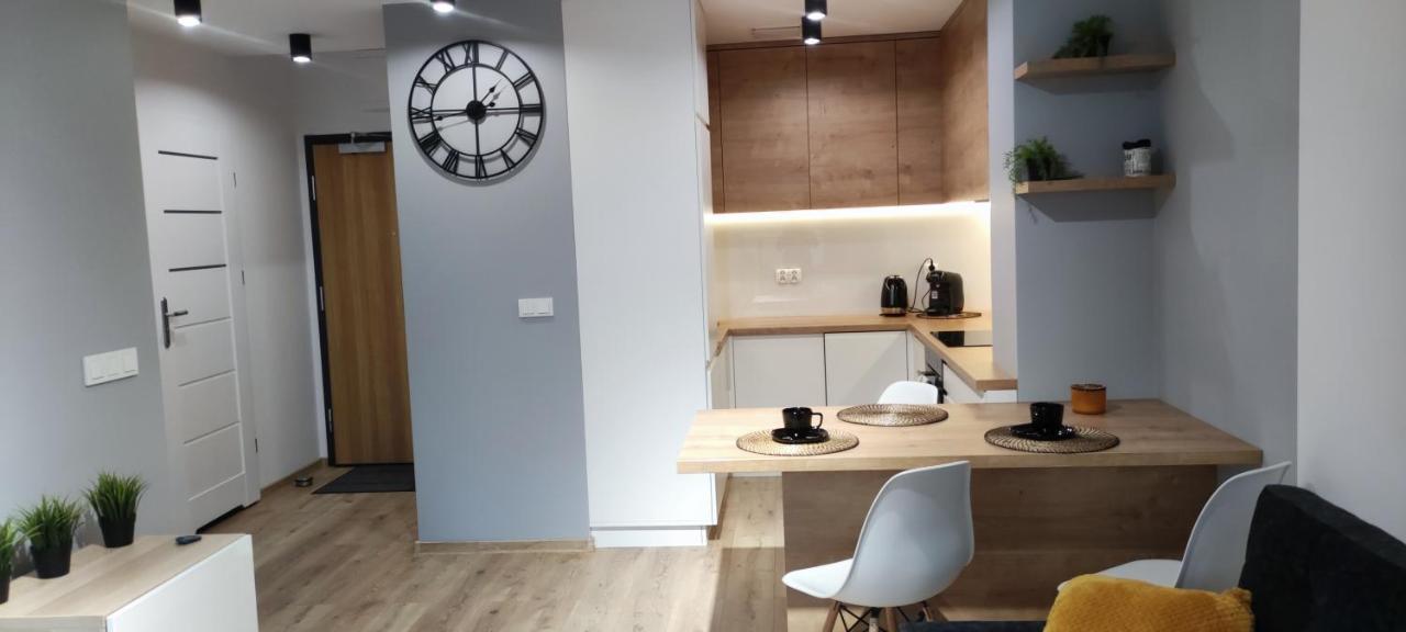 Apartament Przy Fabrycznym 우치 외부 사진